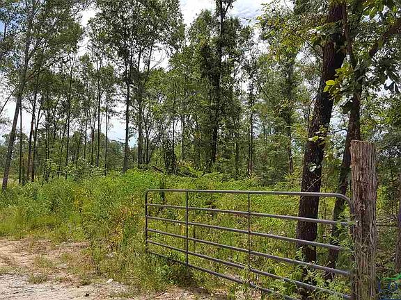 3rd image of 259 Tbd Highway 259 E