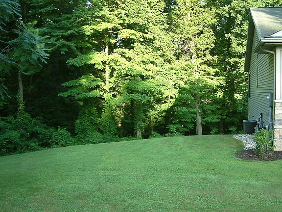 Enjoy the lush, private yard