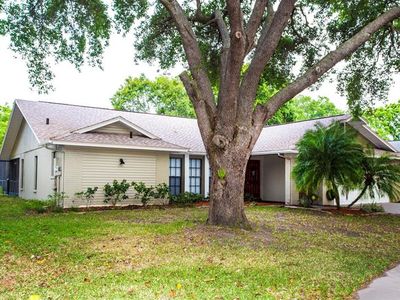 2536 Arborwood Dr, Valrico, FL, 33596