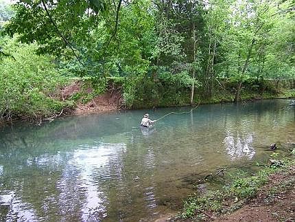 Trout dishing behind house