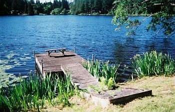 3rd image of 10921 Tempo Lake Dr SE