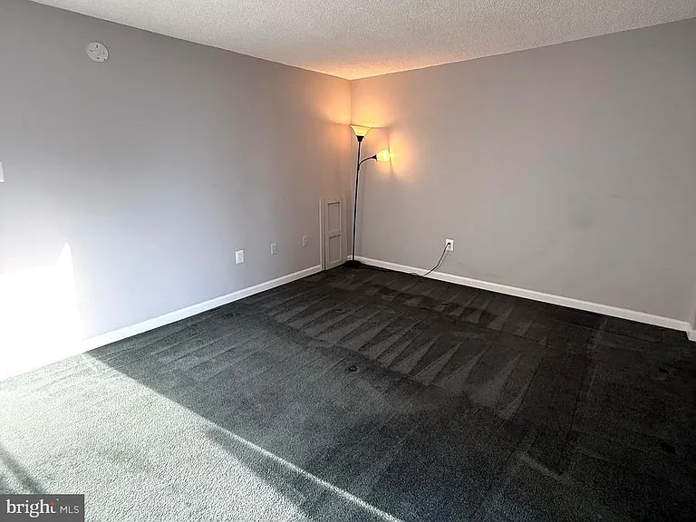5300 Holmes Run Pkwy #819 — Photo 15