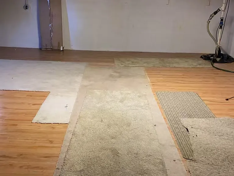 Basement - Recreation Area