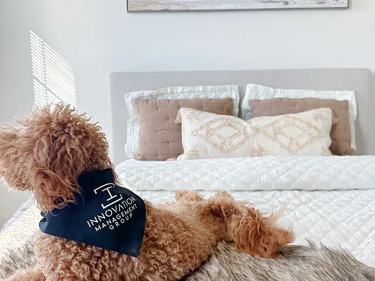 We are PET FRIENDLY!