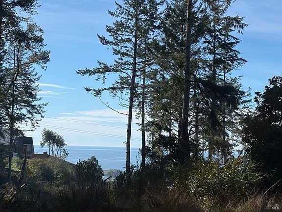 3rd image of 35411 Fly Cloud Road