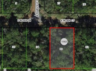 1016 E Noah Ct, Citrus Springs, FL 34434