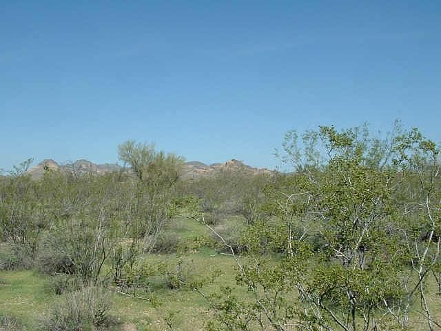 2nd image of 0 N Starr Road #0