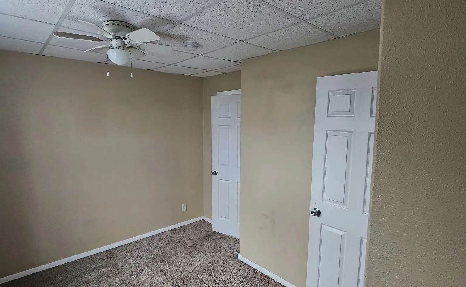 1 bed, $650 — Photo 4