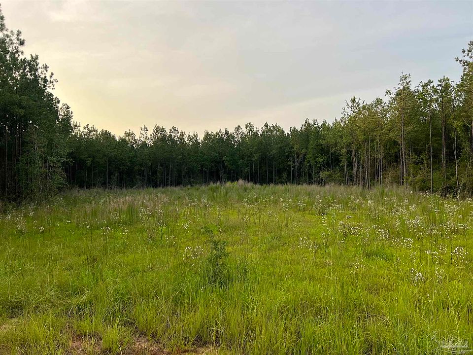 1st image of 1 Steele Meadow Dr