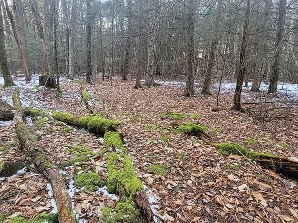Murphy Road, Bethel, NY 12720