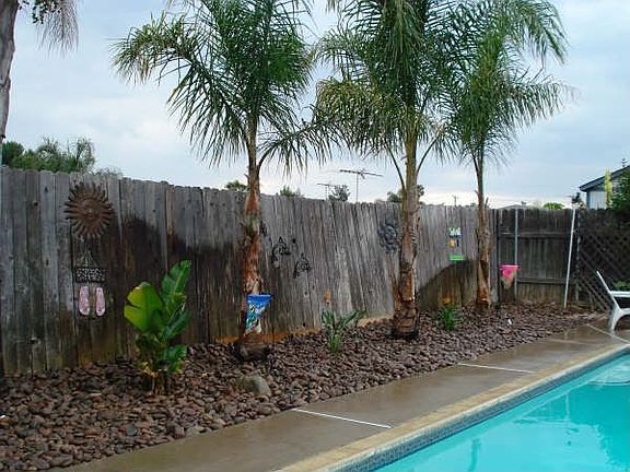 Lanscaping around pool