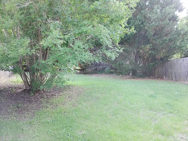 348 Plum St — Photo 5