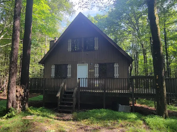 1020 Alder Dr, Newfoundland, PA 18445