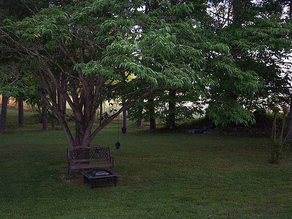 Back yard-storm shelter