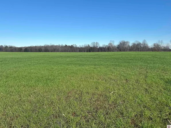 3 Elm Grove Rd, Almo, KY 42020