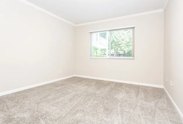 1 Bed 1 Bath