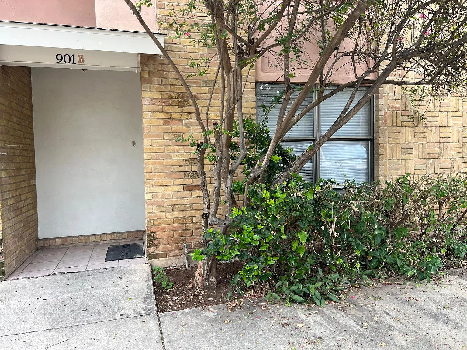 2 bed, 1.5 bath, 1094 sqft, $1,195 — Photo 3