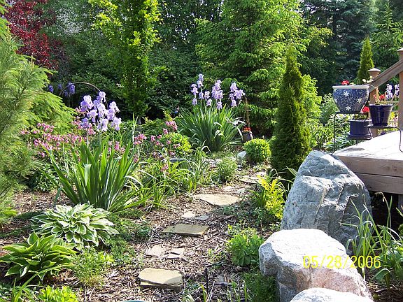Back Yard, May, 2006