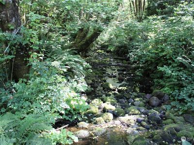 7507 US Highway 101, Amanda Park, WA, 98526