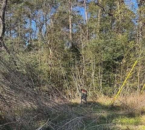 2nd image of 0 Sycamore Dr
