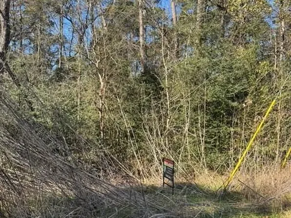 0 Sycamore Dr, Montgomery, TX 77356