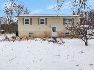 10038 Fish Rd, Belding, MI 48809