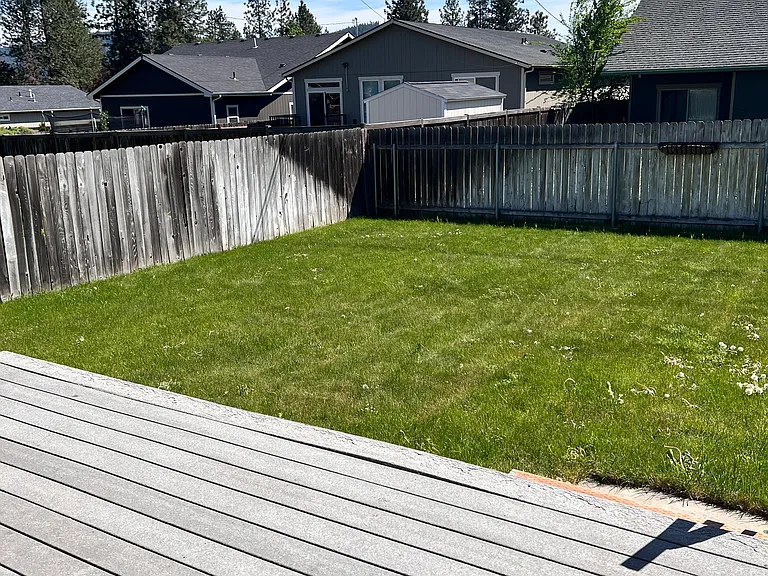 Rear Yard