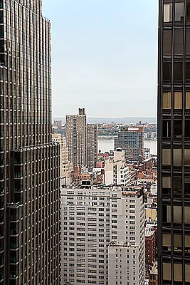 Rented by Nest Seekers International | media 25