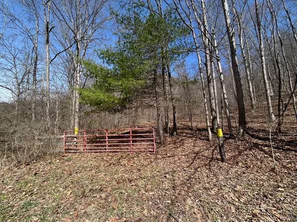 Snake Run Rd, Alderson, WV 24910