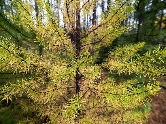 101st image of this home