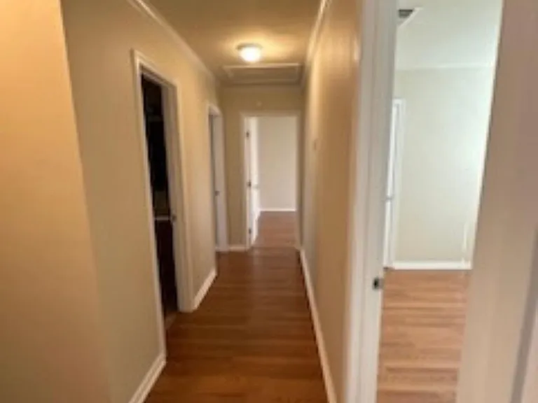 3205 Chicory Ct — Photo 8