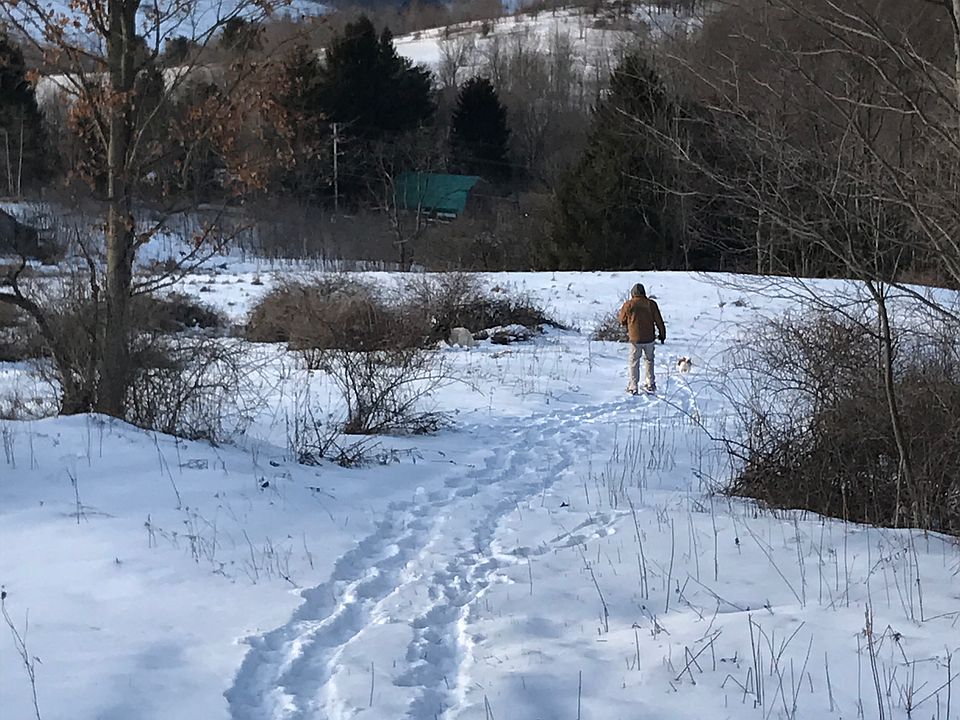 Coming down from the woods