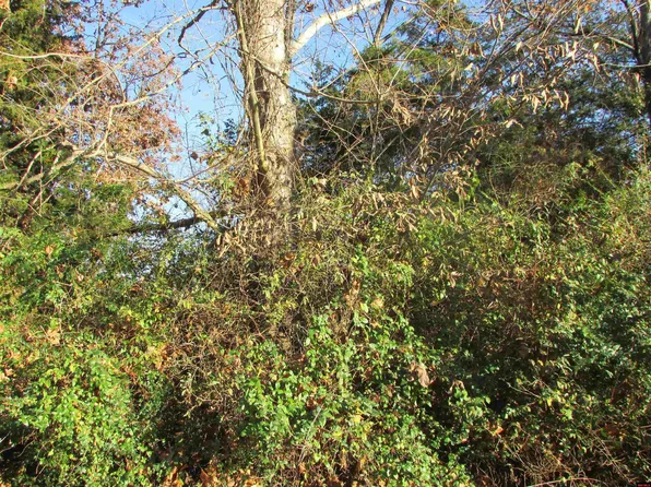 Lots 28 & 29 E Blackberry Ln, Springfield, MO 65809