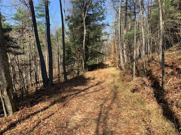 18-11468 Red Brush Rd, Tionesta, PA 16353