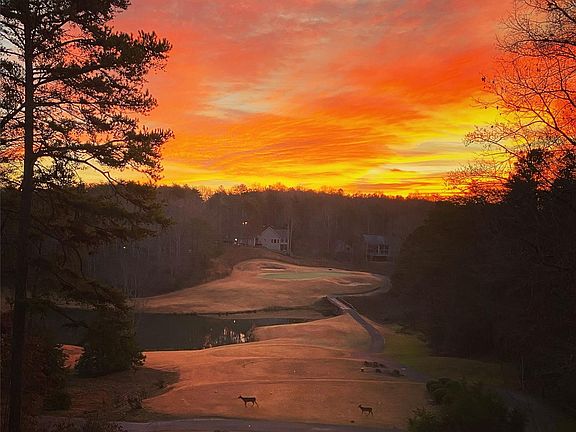 3rd image of 172 Summer Morning Ct