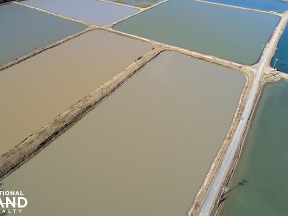 Aerial View of Ponds