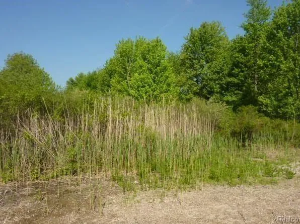 County Line County Line, New Haven, MI 48048