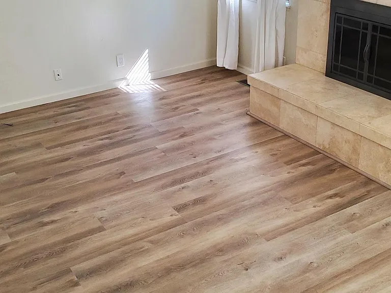 1247 Henderson Ave — Photo 8