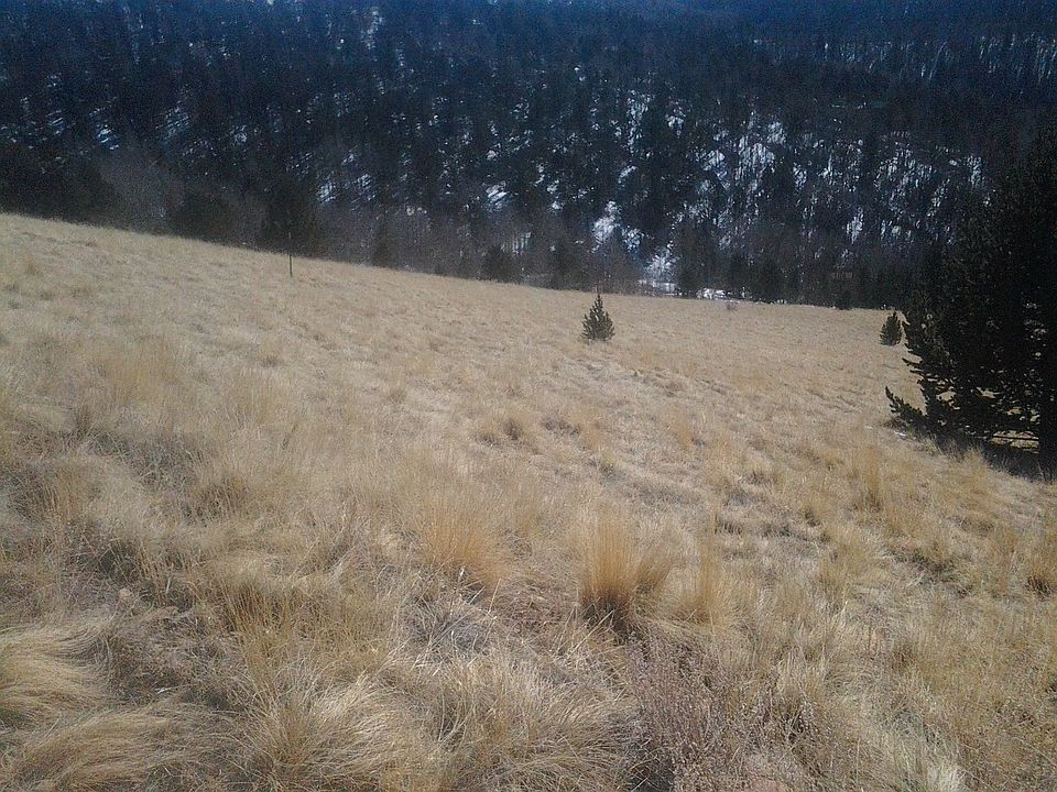 122 Pamona Divide, CO, 80814 Apartments for Rent Zillow