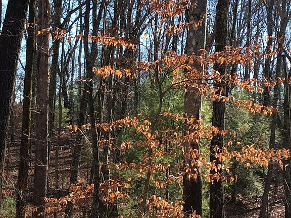 4th image of 0 Old Harriman Hwy