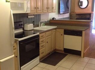 49 Shamrock Cir, Snowshoe, WV 26209