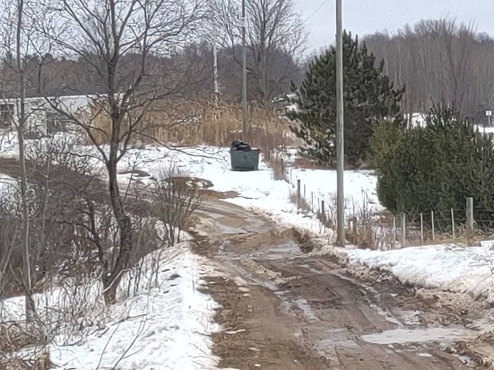 2nd image of 20502 Sixteen Mile Rd