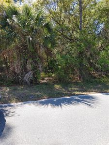 Junction St, North port, FL, 34288