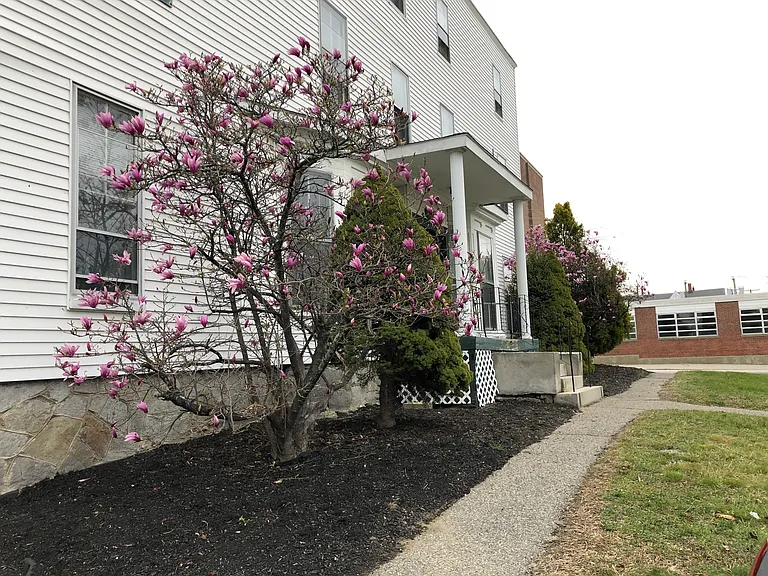 274 Amherst St #2 — Photo 11