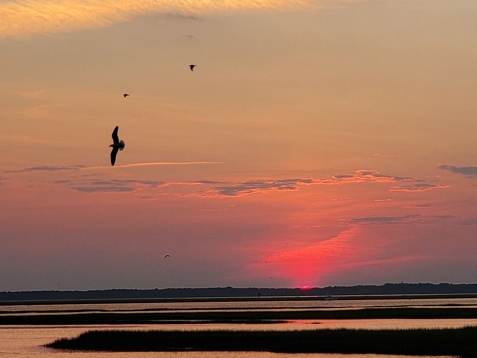 Stone HarborAvalon Build On Your Lot by Harbor Custom Homes in Stone