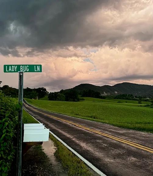 17 Lady Bug Ln — Photo 10