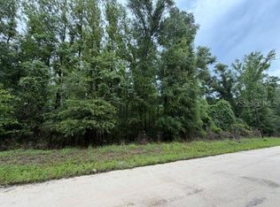 NE 312th Ave Lot 19, Old Town, FL 32680