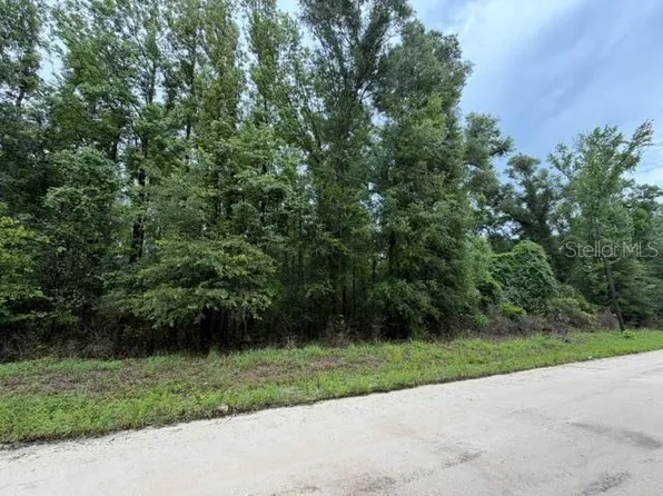 NE 312th Ave Lot 19, Old Town, FL 32680