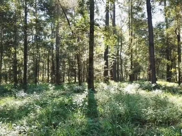 0 Highway 28 W, Soso, MS 39480