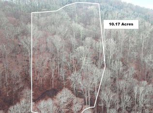 LOT 46 Nantahala Shores Rd, Topton, NC 28781